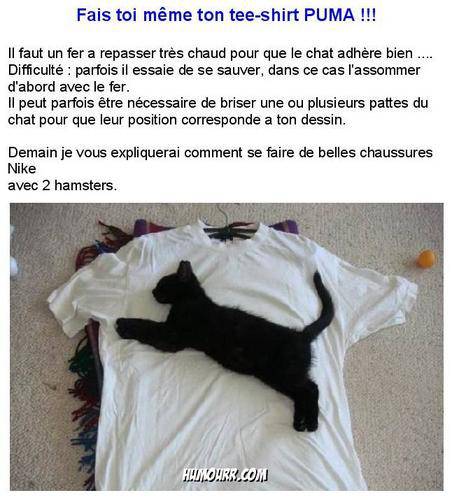 Ncessite une traduction <b>[** Click to enlarge **]</b> Dtail : 452 x 500