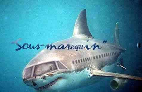 Ncessite une traduction <b>[** Click to enlarge **]</b> Dtail : 476 x 309